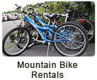 Mountain Bike Rentals