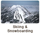 Skiing & Snowboarding